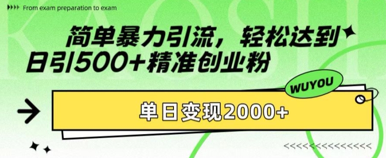 简单暴力引流，轻松达到日引500+精准创业粉，单日变现2k【揭秘】-揽颜居工坊