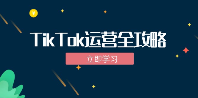 TikTok实战运营全攻略：从下载软件到变现，抖音海外版实操教程-揽颜居工坊